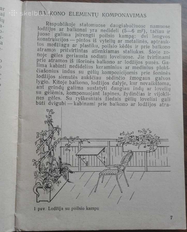 1644. Balkonų Apželdinimas A. Boguševičiūtė - nuotraukos Nr. 4