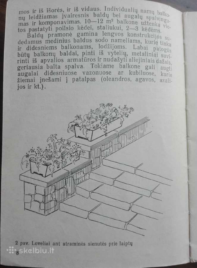 1644. Balkonų Apželdinimas A. Boguševičiūtė - nuotraukos Nr. 5