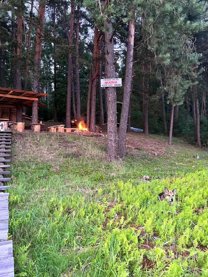 Stovyklavietė ir poilsis prie Aiseto - nuotraukos Nr. 3