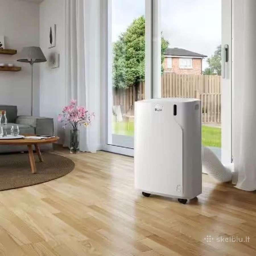 Oro kondicionierius Delonghi Pinguino Pacem77