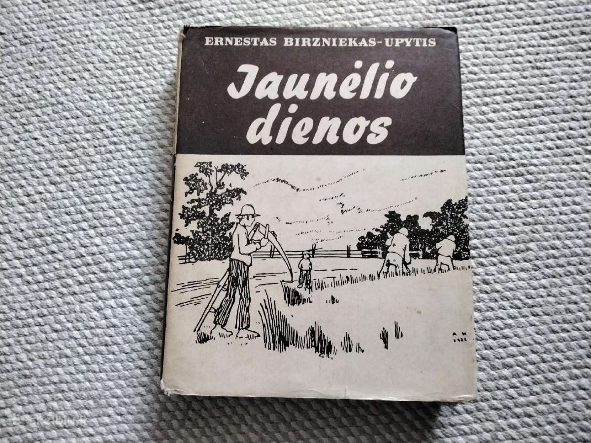 Jaunėlio dienos Ernestas Birzniekas-upytis
