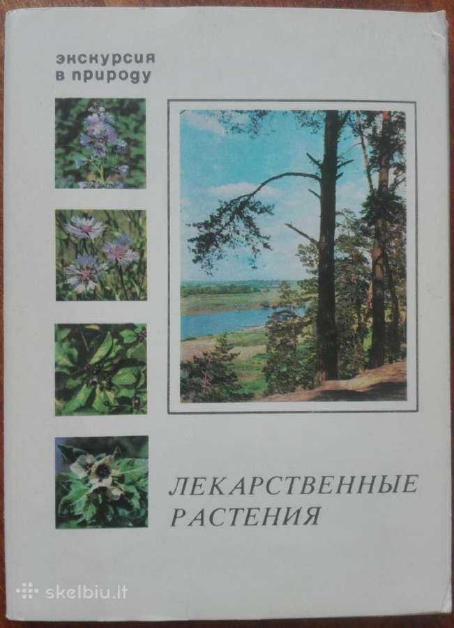 1661. Экскурсия В Природу Лекарственные Растения