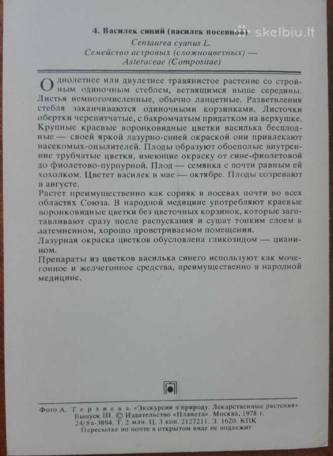 1661. Экскурсия В Природу Лекарственные Растения - nuotraukos Nr. 4