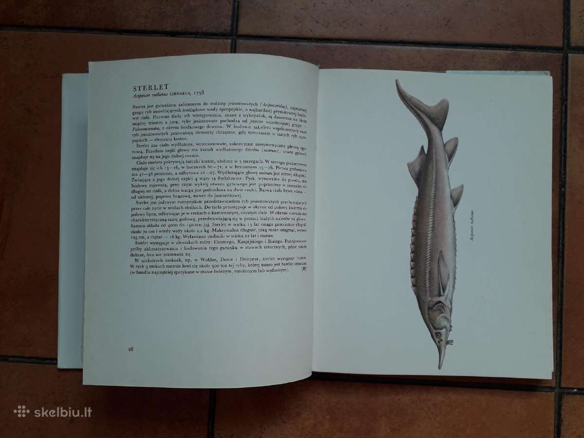 J. Holčik, J. Michalik "Ryby slodkowodne" 1971 m. - nuotraukos Nr. 9