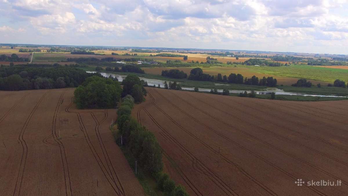 Juodzemis.zvyras.savivarcio su kausu paslauga - nuotraukos Nr. 4