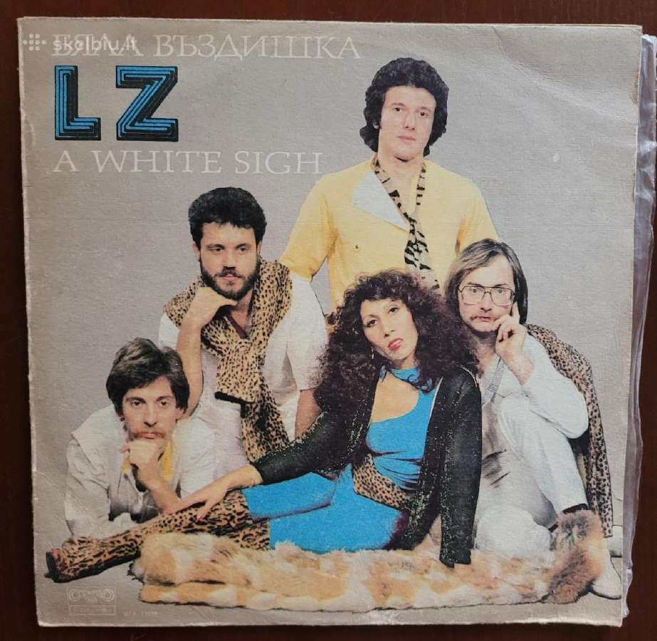 Įvairių pop muzikos atlikėjų plokštelės 4 - nuotraukos Nr. 6