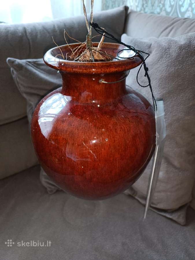 Išskirtinis Down under pots vazonas - nuotraukos Nr. 3