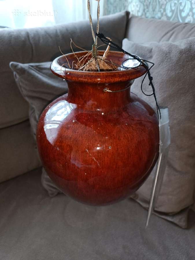 Išskirtinis Down under pots vazonas - nuotraukos Nr. 4