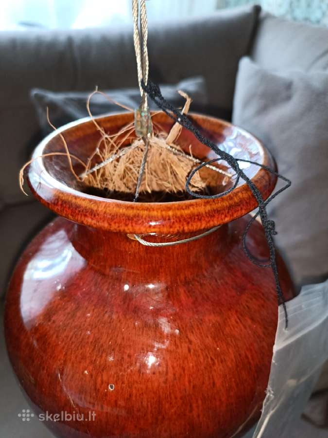 Išskirtinis Down under pots vazonas - nuotraukos Nr. 5