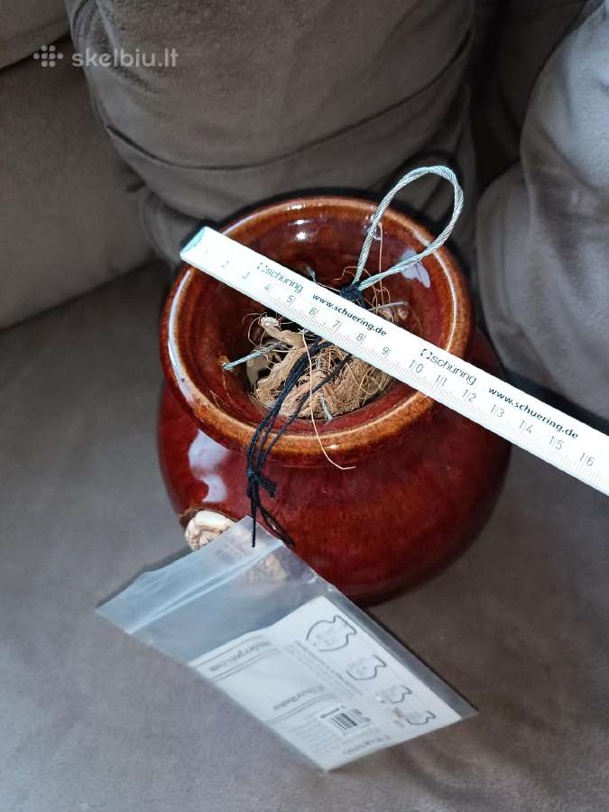 Išskirtinis Down under pots vazonas - nuotraukos Nr. 11