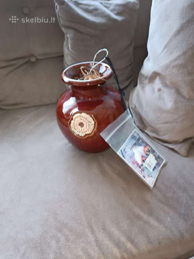 Išskirtinis Down under pots vazonas - nuotraukos Nr. 20