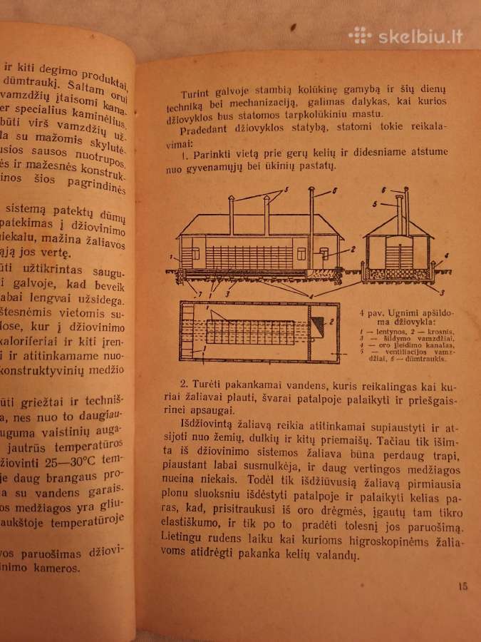 Vaistiniai - techniniai augalai - nuotraukos Nr. 3