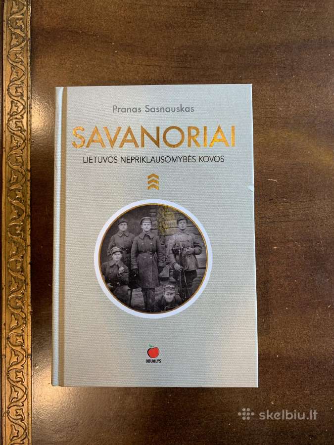 Prano Sasnausko romanas Savanoriai