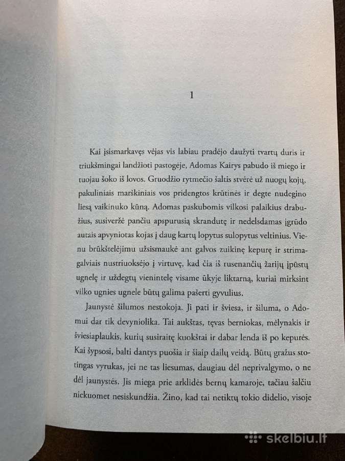 Prano Sasnausko romanas Savanoriai - nuotraukos Nr. 5