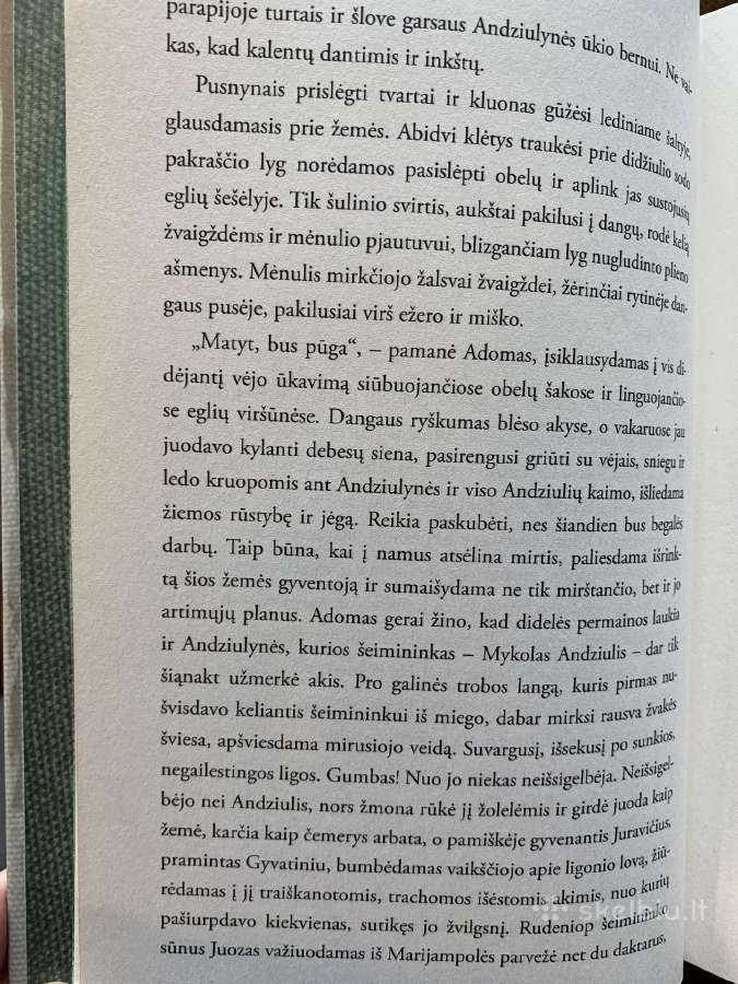 Prano Sasnausko romanas Savanoriai - nuotraukos Nr. 6
