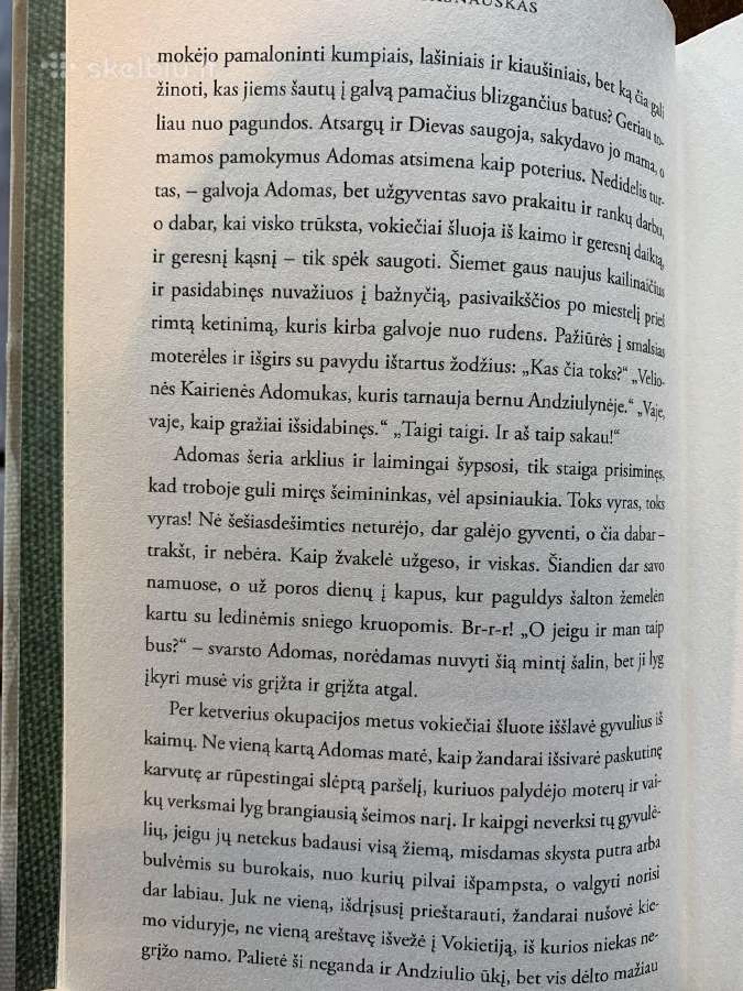 Prano Sasnausko romanas Savanoriai - nuotraukos Nr. 8