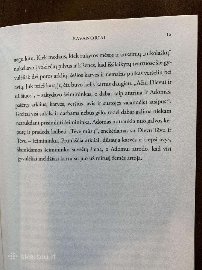 Prano Sasnausko romanas Savanoriai - nuotraukos Nr. 9