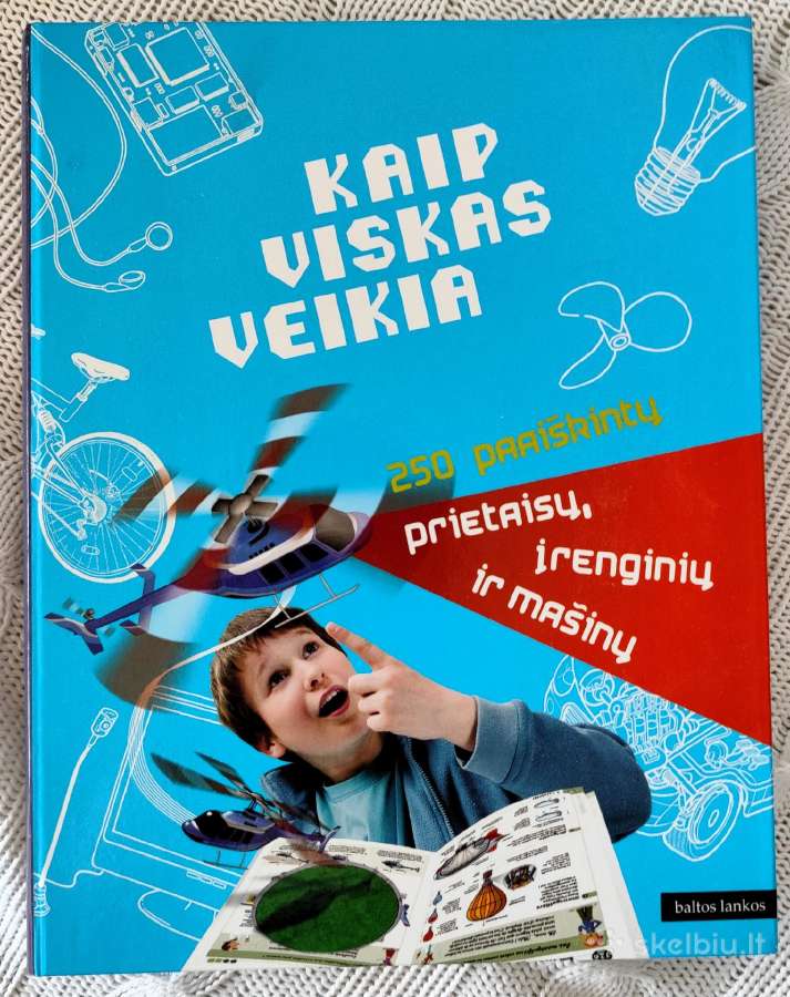 Joel & Clement Lebaume Kaip Viskas Veikia knyga