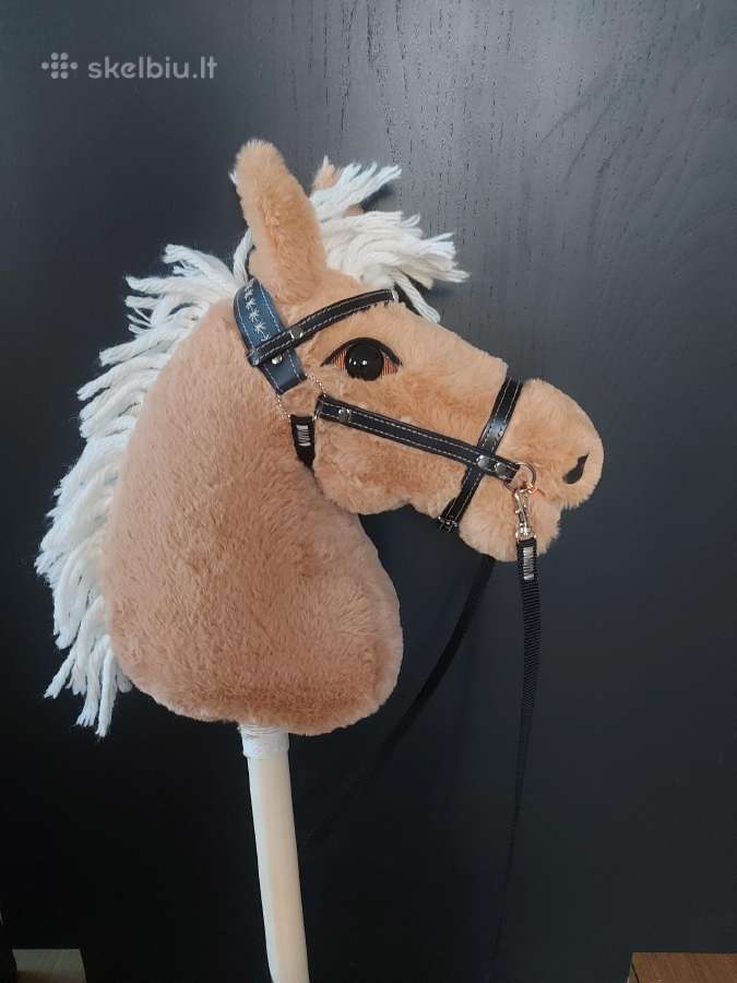 Hobby Horsing Arkliukai - nuotraukos Nr. 7