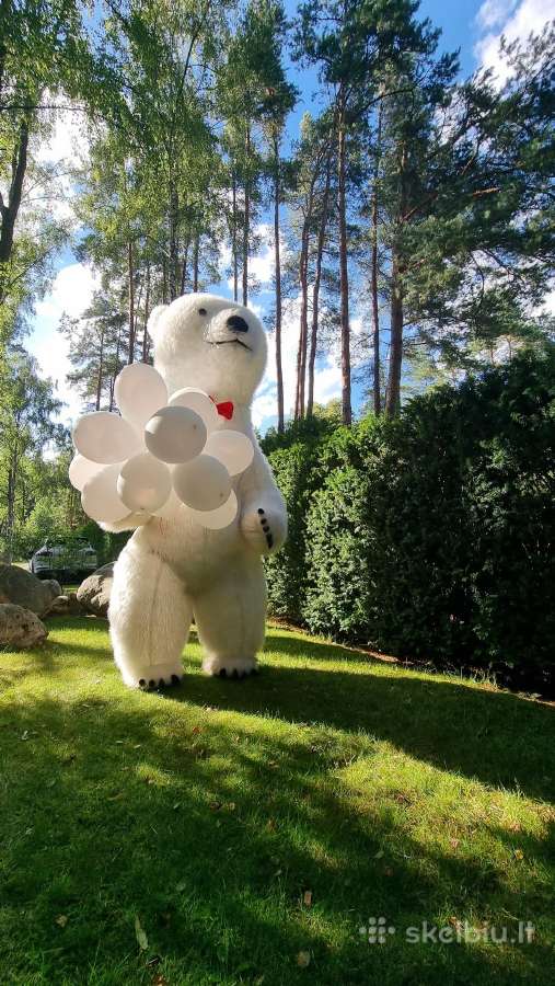 Baltos meškos sveikinimas. Meška