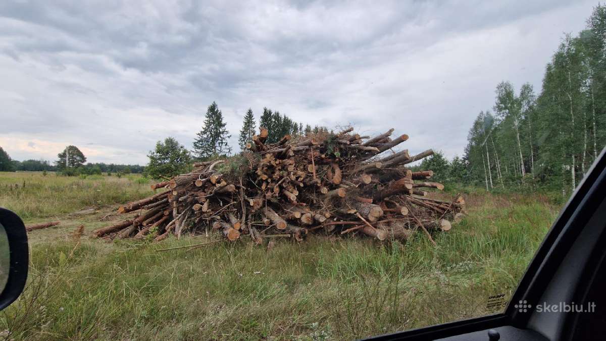 Medžių ir krūmų iškirtimas - apleisto sklypo valym - nuotraukos Nr. 3