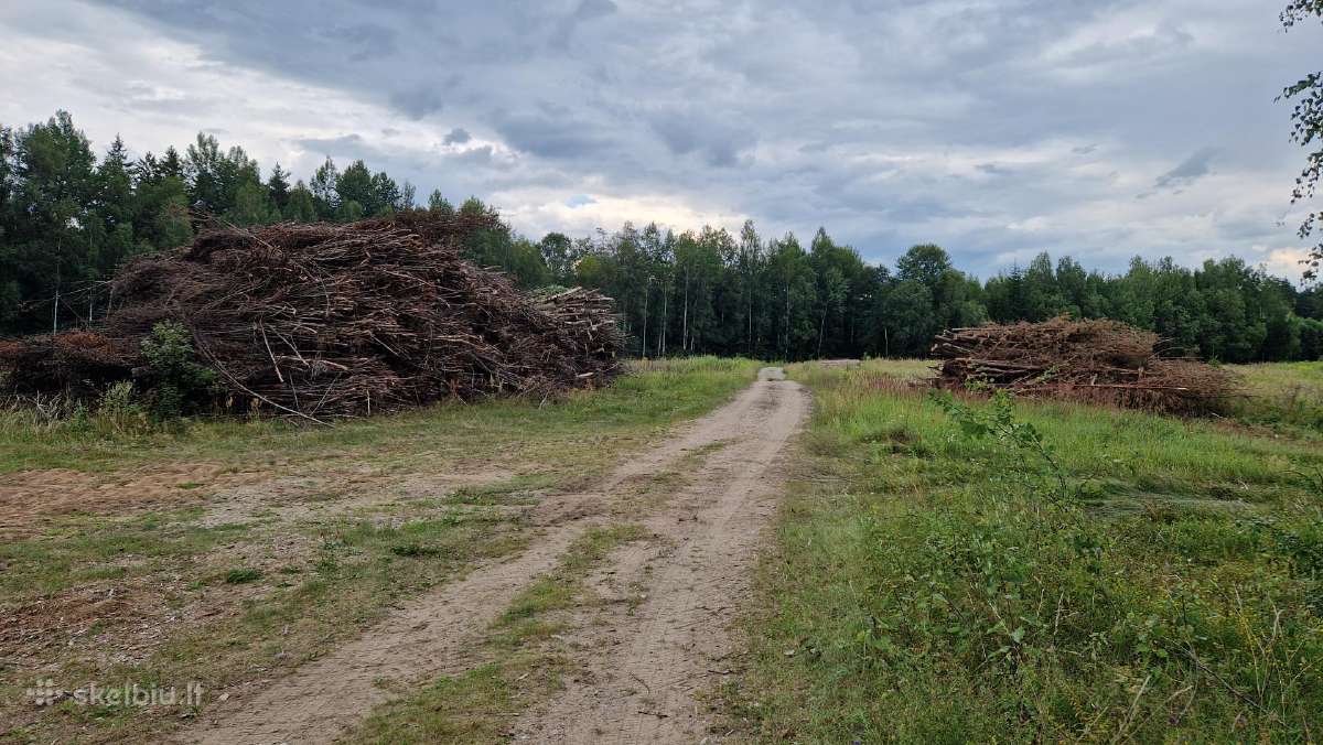Medžių ir krūmų iškirtimas - apleisto sklypo valym - nuotraukos Nr. 4