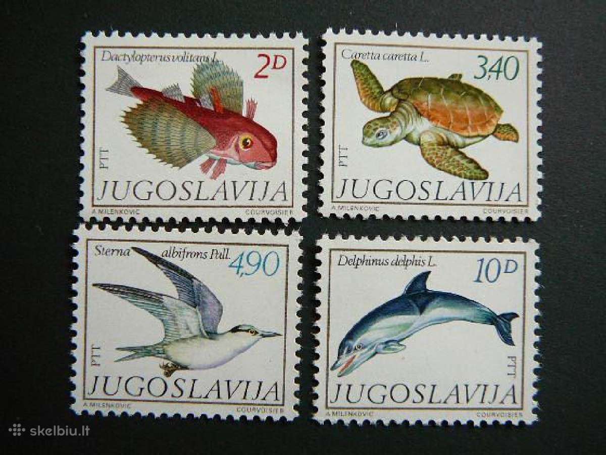 Zuvys Vezliai Delfinai Jugoslavija 1981 js1834s