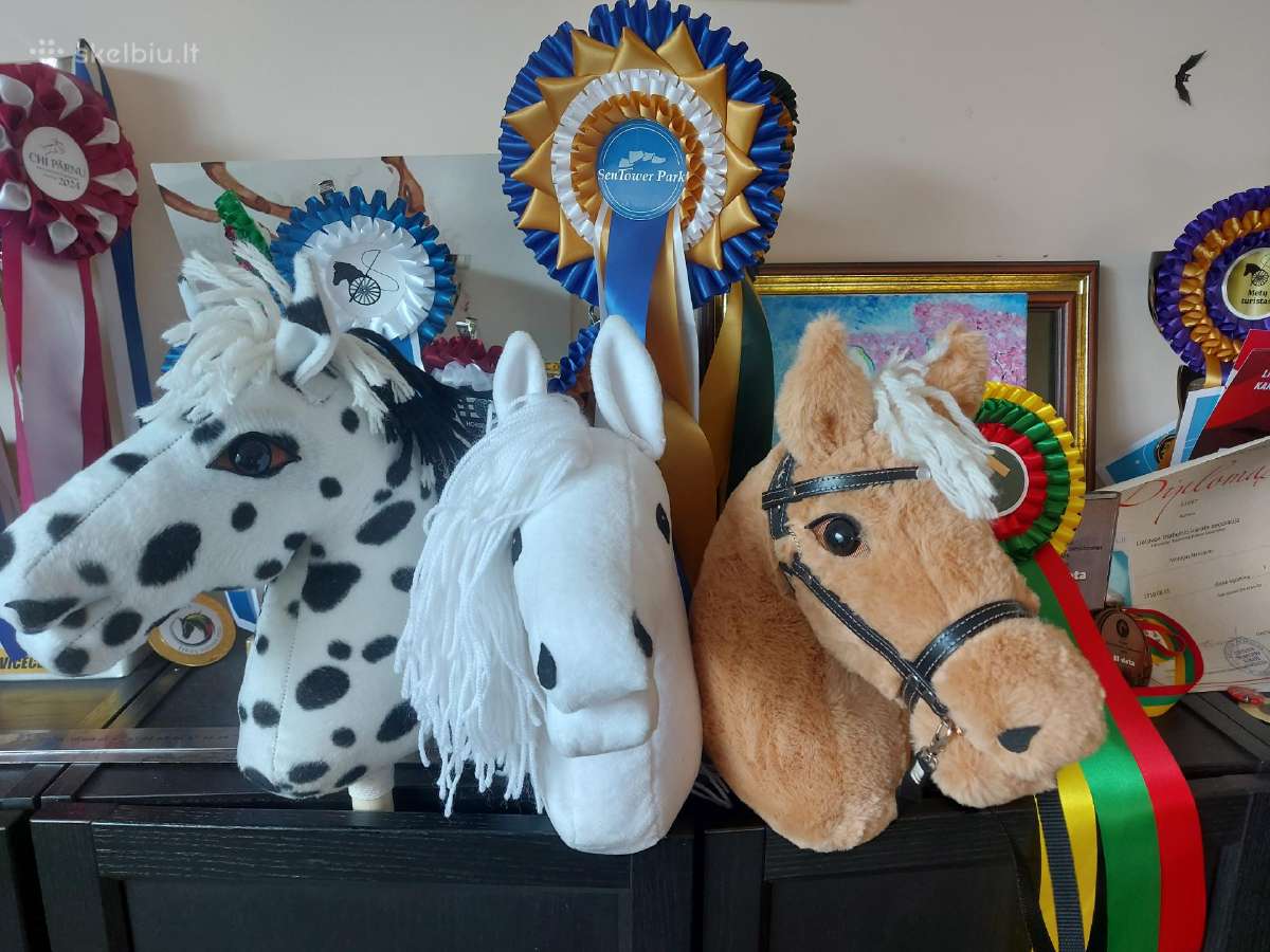 Hobby Horsing Arkliukai - nuotraukos Nr. 5