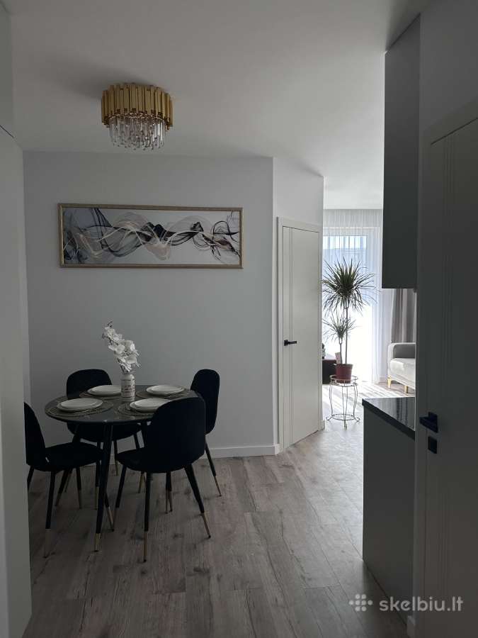 Apartamentai Ragaines self chec-in free parking. K - nuotraukos Nr. 23