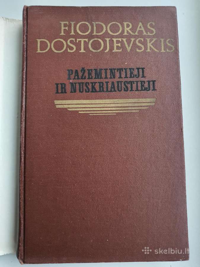 Knyga Dostojevskis Pažemintieji ir Nuskriaustieji - nuotraukos Nr. 2