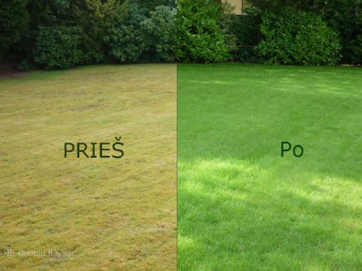 Vejos įrengimas. Klojamoji veja. Dirbtine veja. - nuotraukos Nr. 4