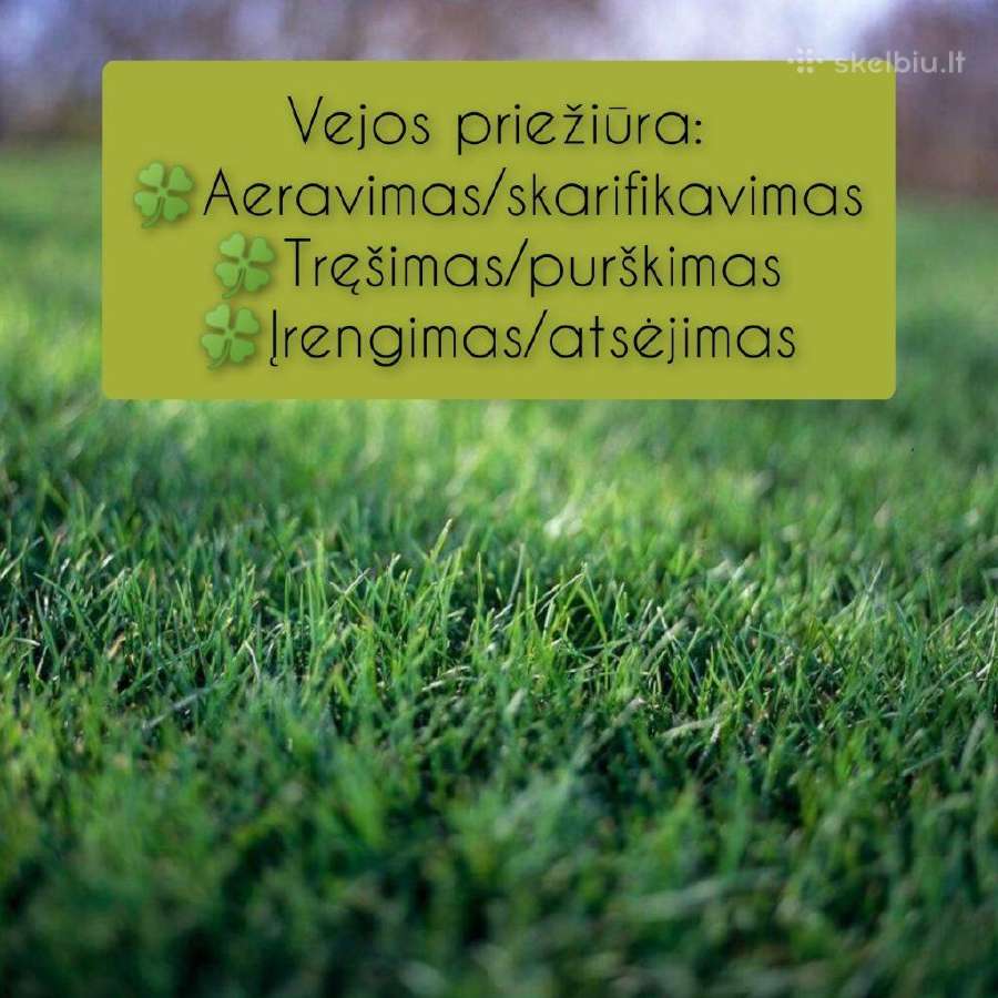 Vejos įrengimas. Klojamoji veja. Dirbtine veja. - nuotraukos Nr. 3
