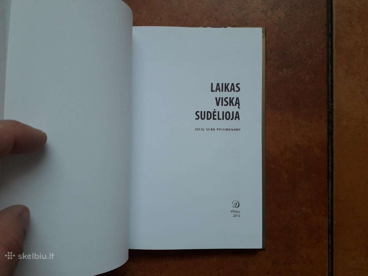 N. Ulbaitė "Laikas viską sudėlioja" 2013 metai. - nuotraukos Nr. 3