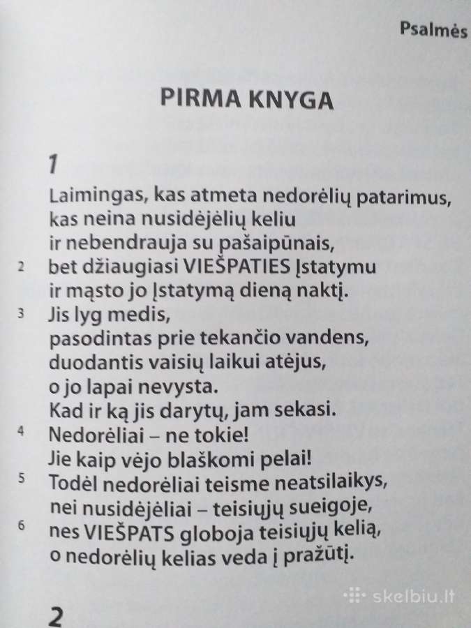 Psalmynas. Psalmės (labai didelis šriftas) - nuotraukos Nr. 3