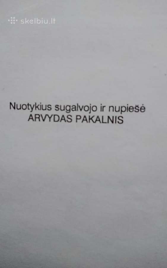 Pykštukas Ir Micius Žvejoja - nuotraukos Nr. 4