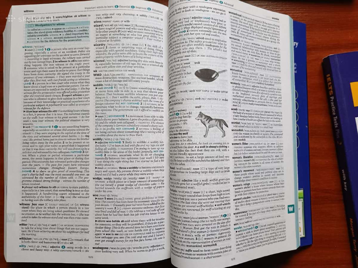 Cambridge advanced learner's žodynas - nuotraukos Nr. 2