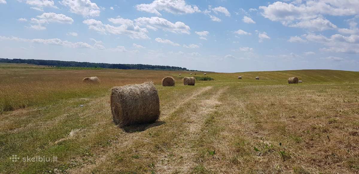 Šienas. Šieno rulonai, presuoti 2026 metais - nuotraukos Nr. 2
