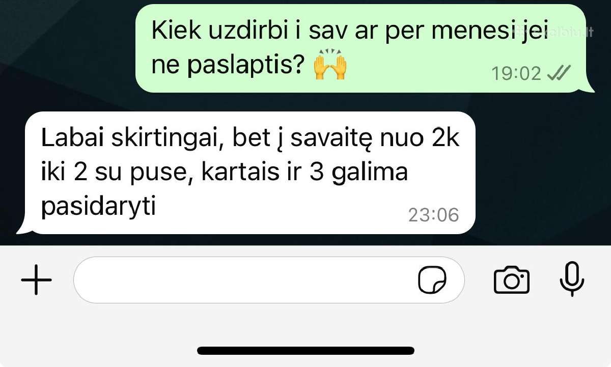 Darbas įvaizdžio merginoms ir šokėjoms - nuotraukos Nr. 5