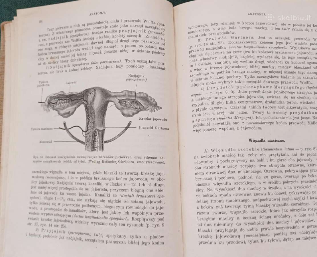 Sena knyga 1923 m. Ginekologija 404 p. 171 iliust. - nuotraukos Nr. 11