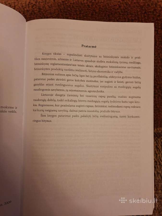 Verslinė bitininkystė - nuotraukos Nr. 2