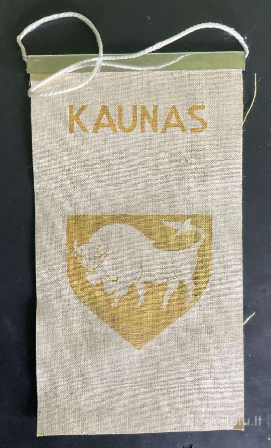 Gairelė -Kki Rankinio Futbolo Ledo Ritulio Katedra - nuotraukos Nr. 2