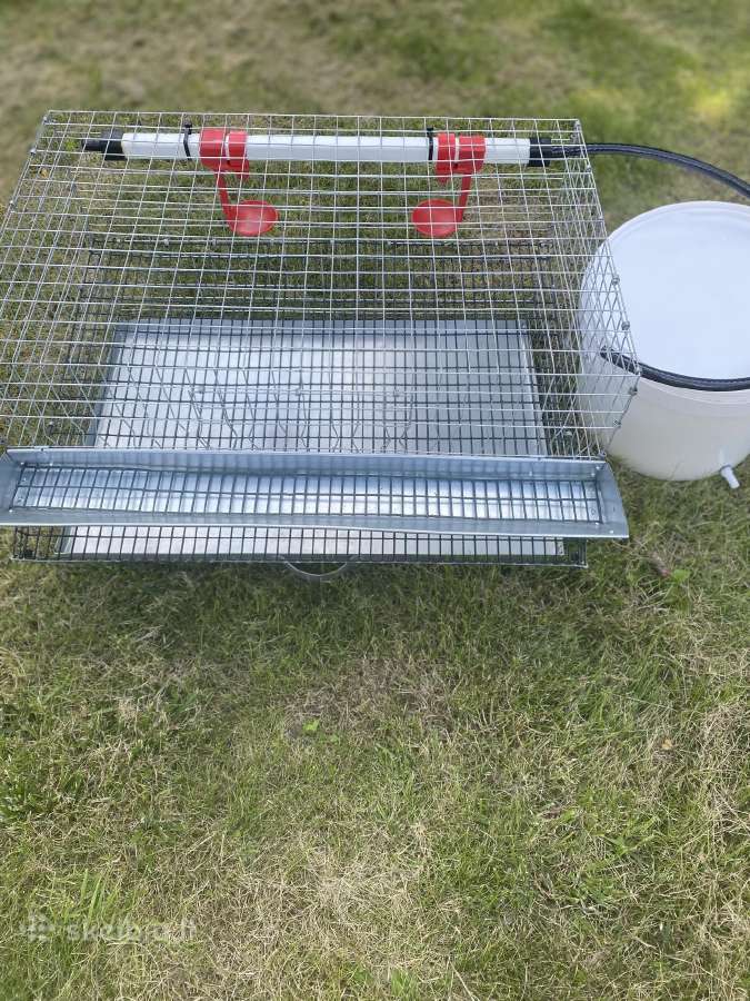 Putpeles 5€ Vilnius (naujoji Vilnia) - nuotraukos Nr. 5