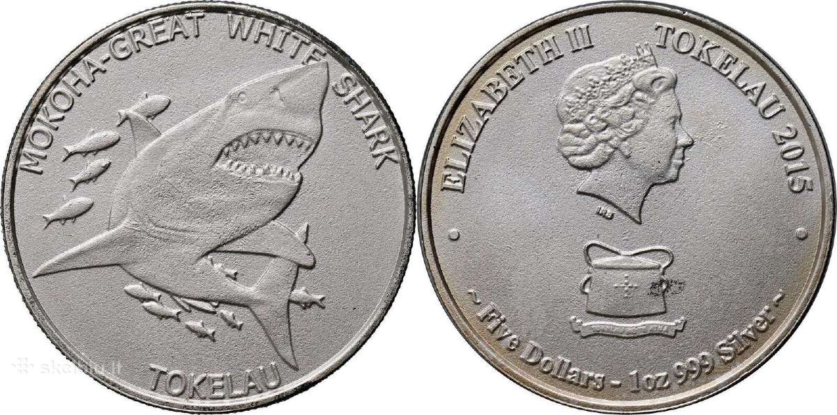 Tokelau 2015 Didysis baltasis ryklys