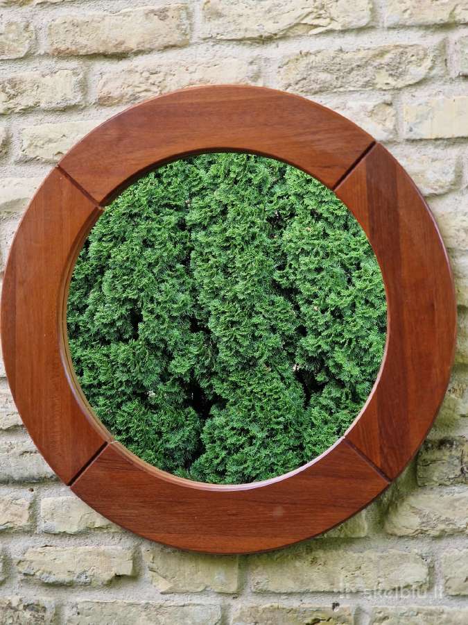 Vintažinis mid century tikmedžio rėmo veidrodis