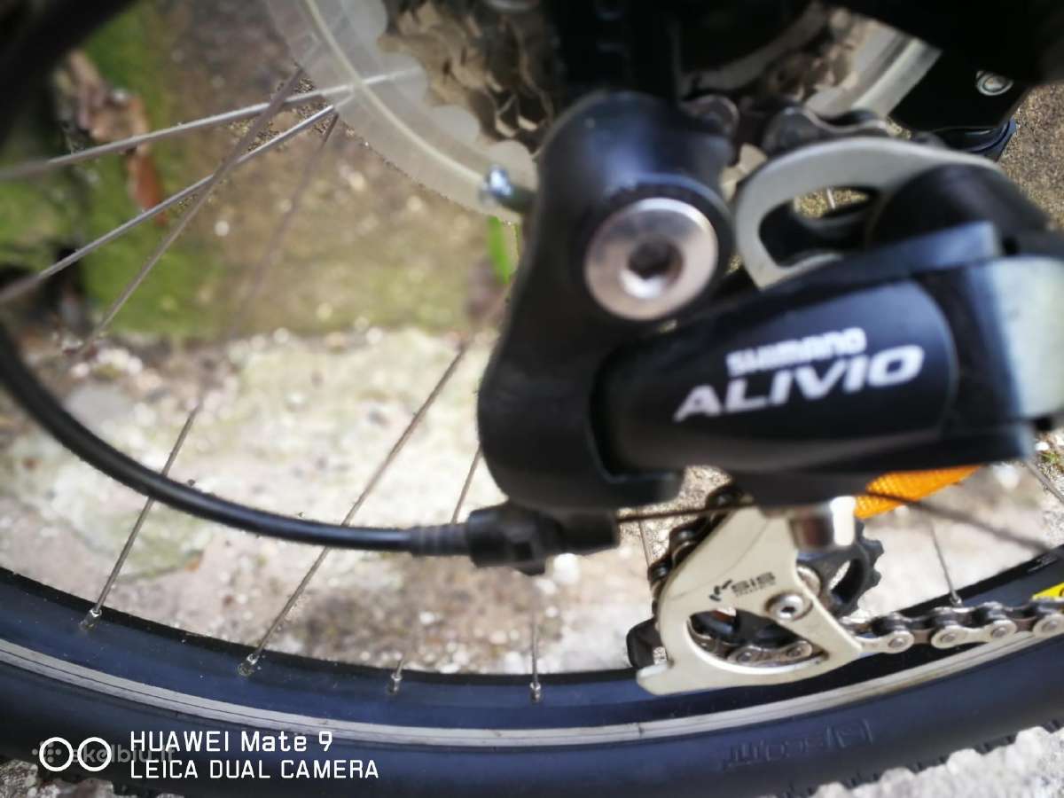 *Scott contessa*, Usa,ratai 26coliu.24-begiai. - nuotraukos Nr. 4