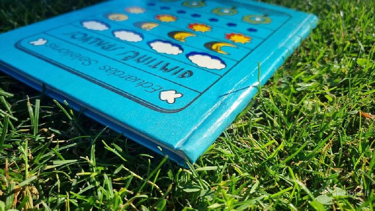 Eilėraščiai vaikams "Gimtinės spalvos" - nuotraukos Nr. 4