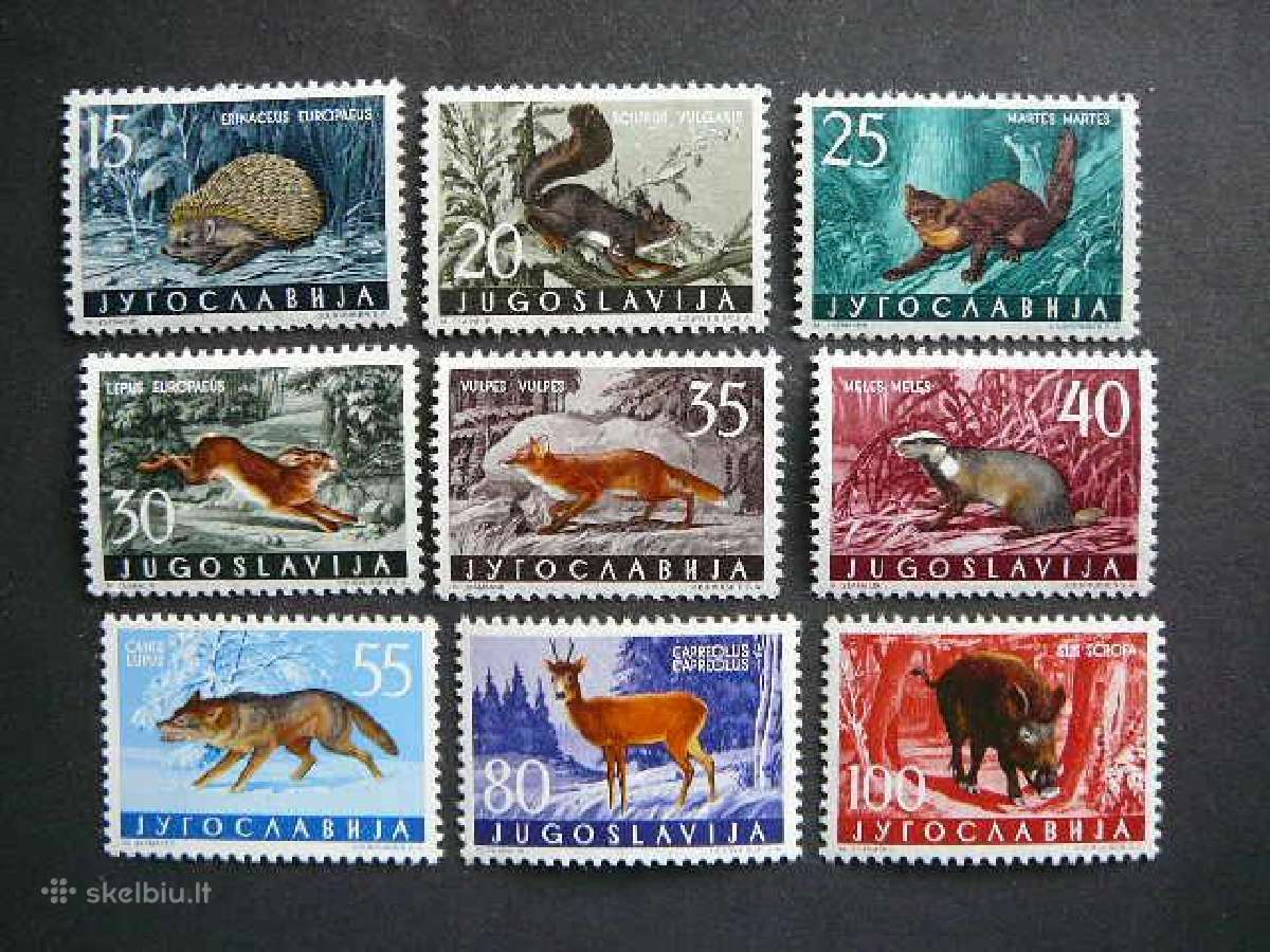 Zverys Eziai Kiskiai Jugoslavija 1960 Mnh js917/5