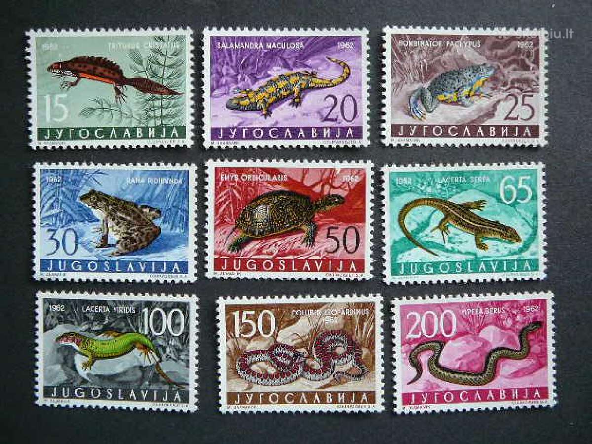 Reptilijos Gyvates Varles Jugoslavija 1962 js1007