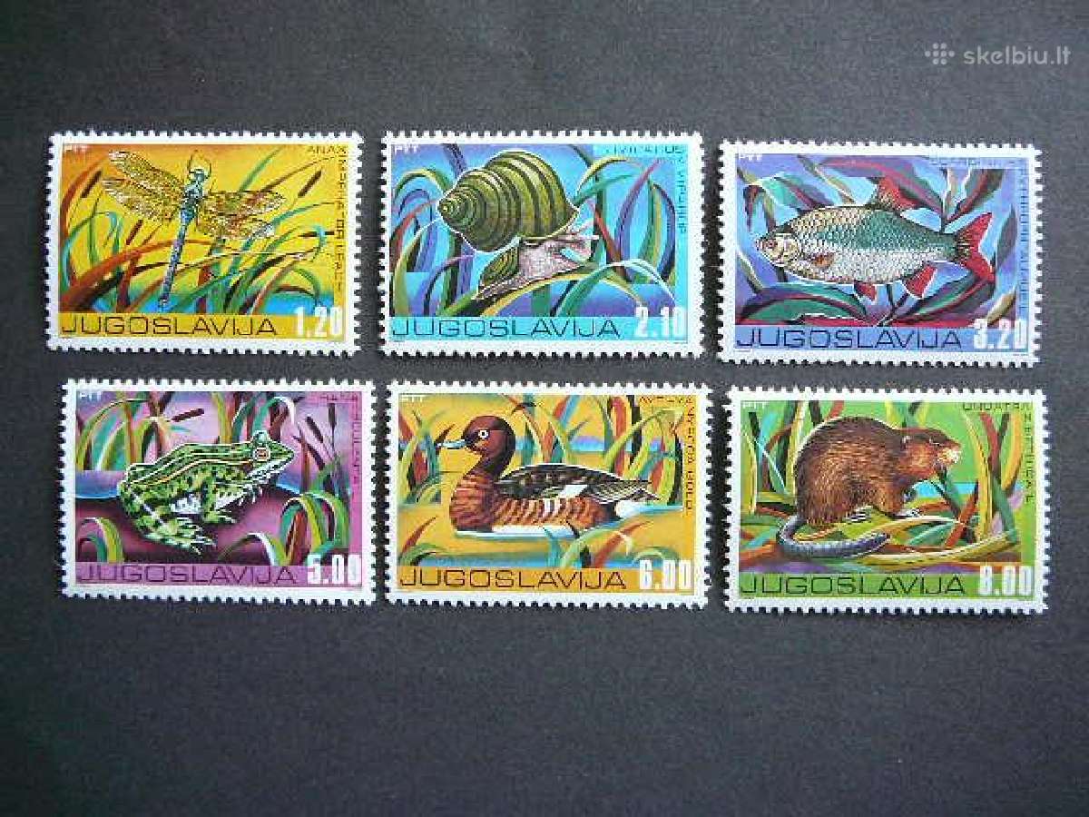 Zuvys Antys Varles Jugoslavija 1976 js1640