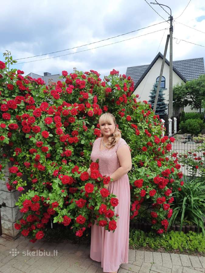 Puošni suknelė